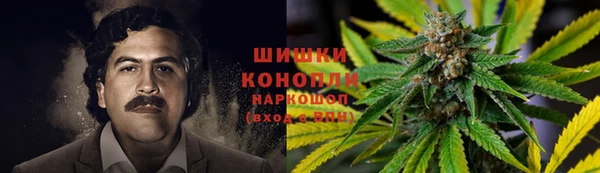 apvp Лагань