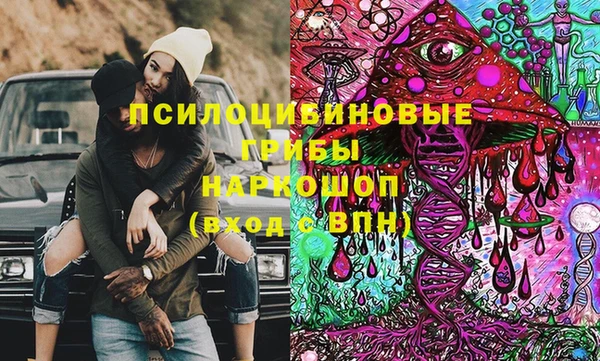 apvp Алексин