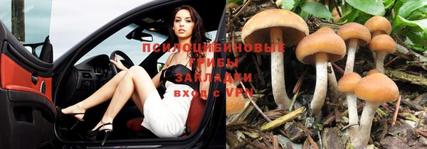 соль курить ск Алзамай