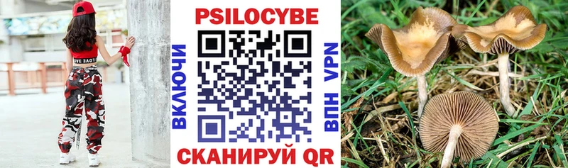 купить закладку  Белоярский  Псилоцибиновые грибы Psilocybe 